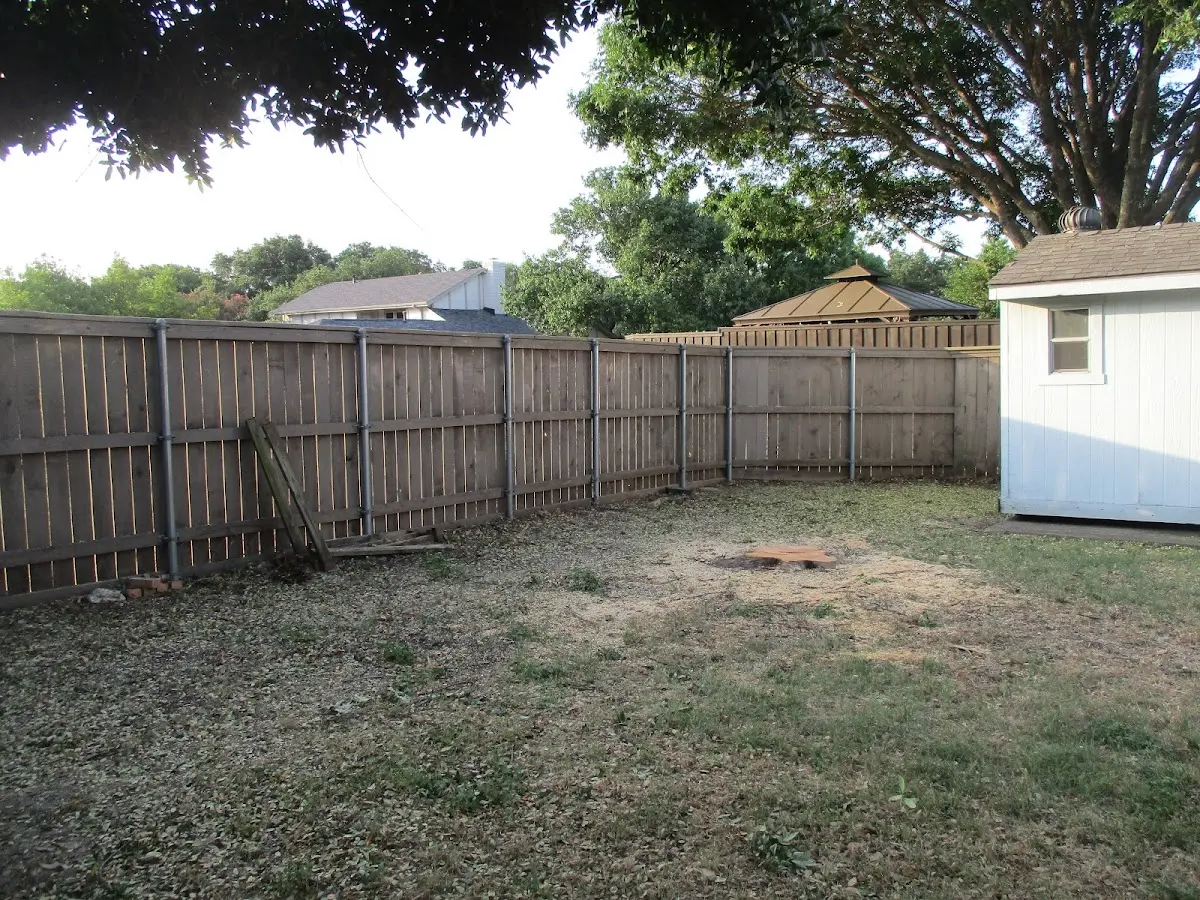 Cleared yard after professional tree removal in Chambers